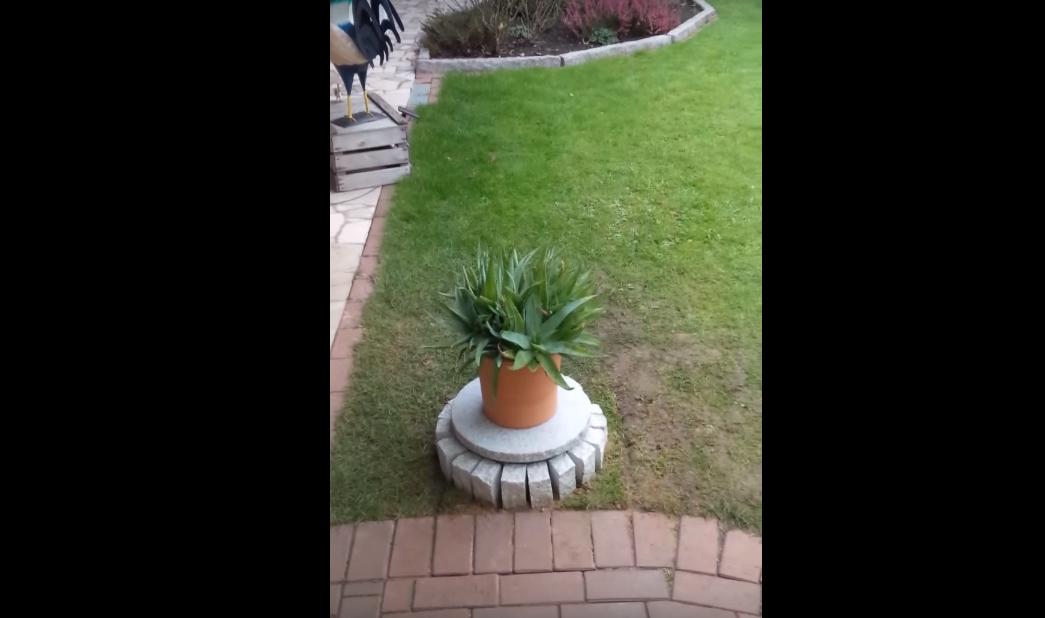 A Beer Cooler Is Hidden in His Garden