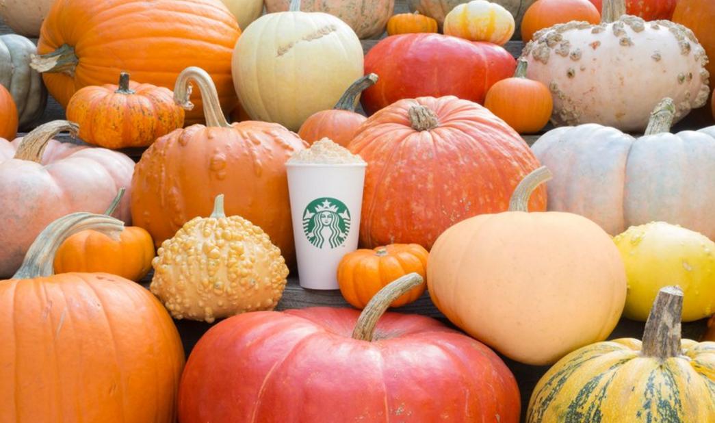 Is National Pumpkin Day a thing?!