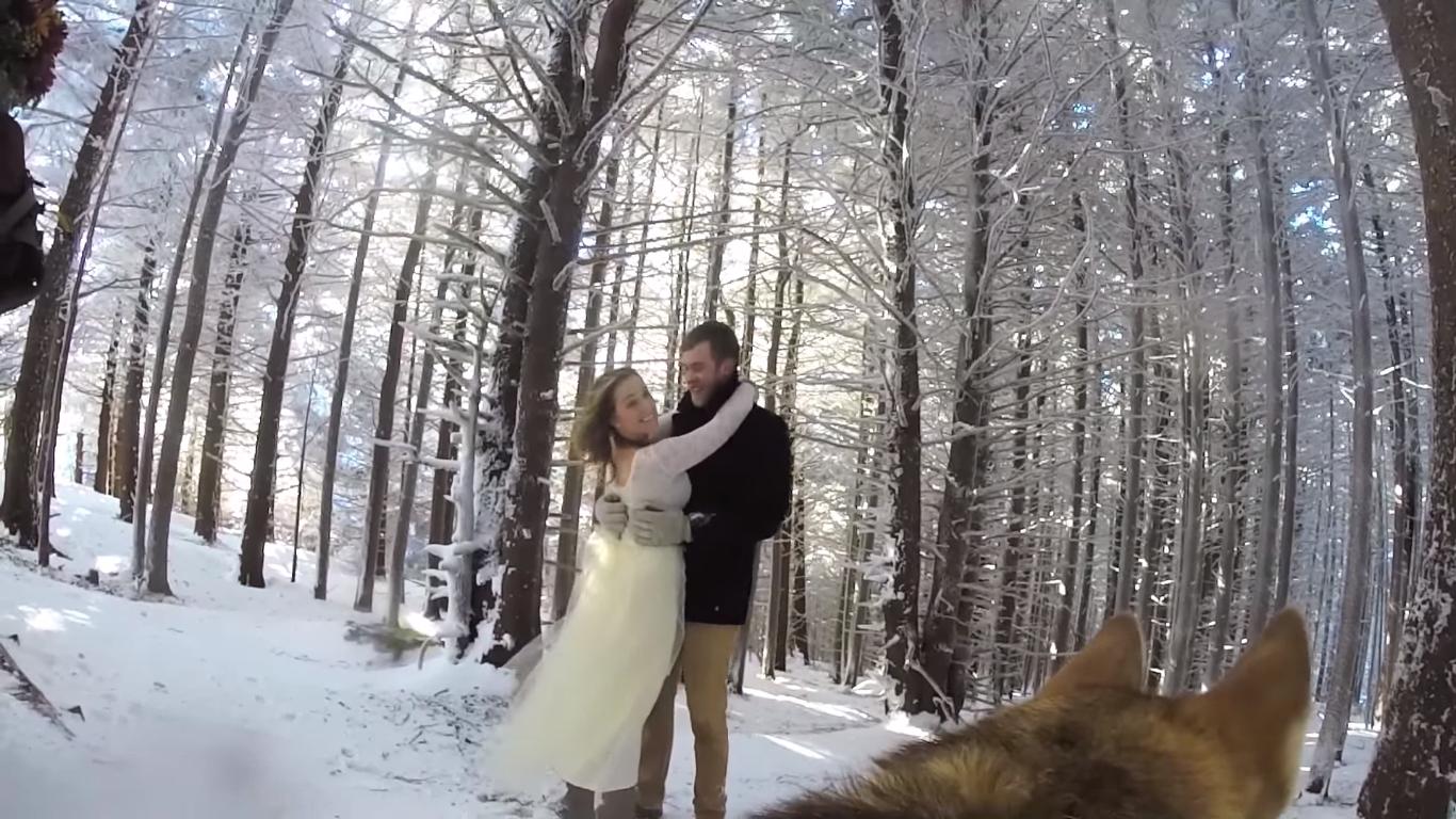 They Let the Dog Film Their Wedding