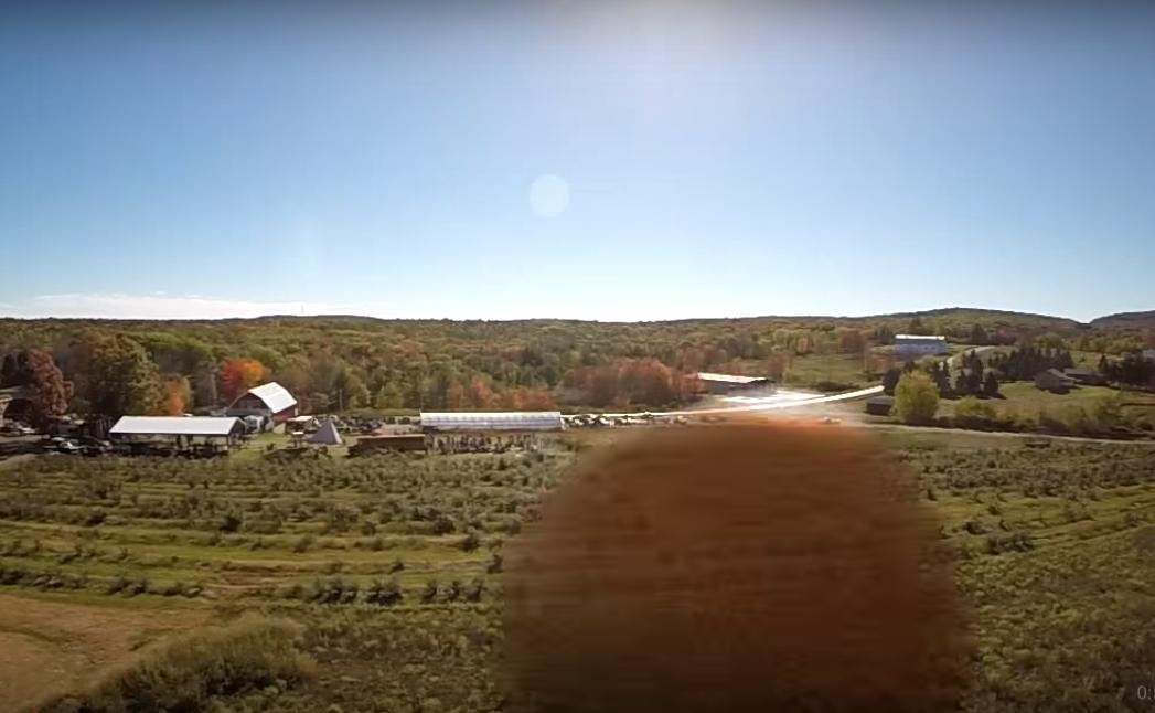 Flying Pumpkin Crashes Into Drone And GoPro