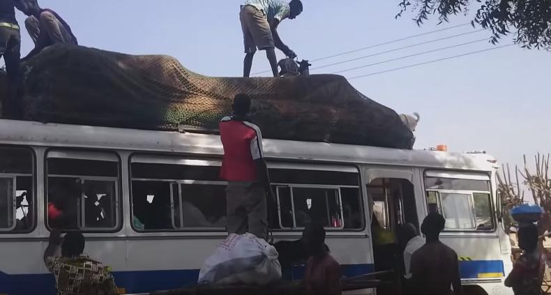 That's How You Place Goats on Top of Bus