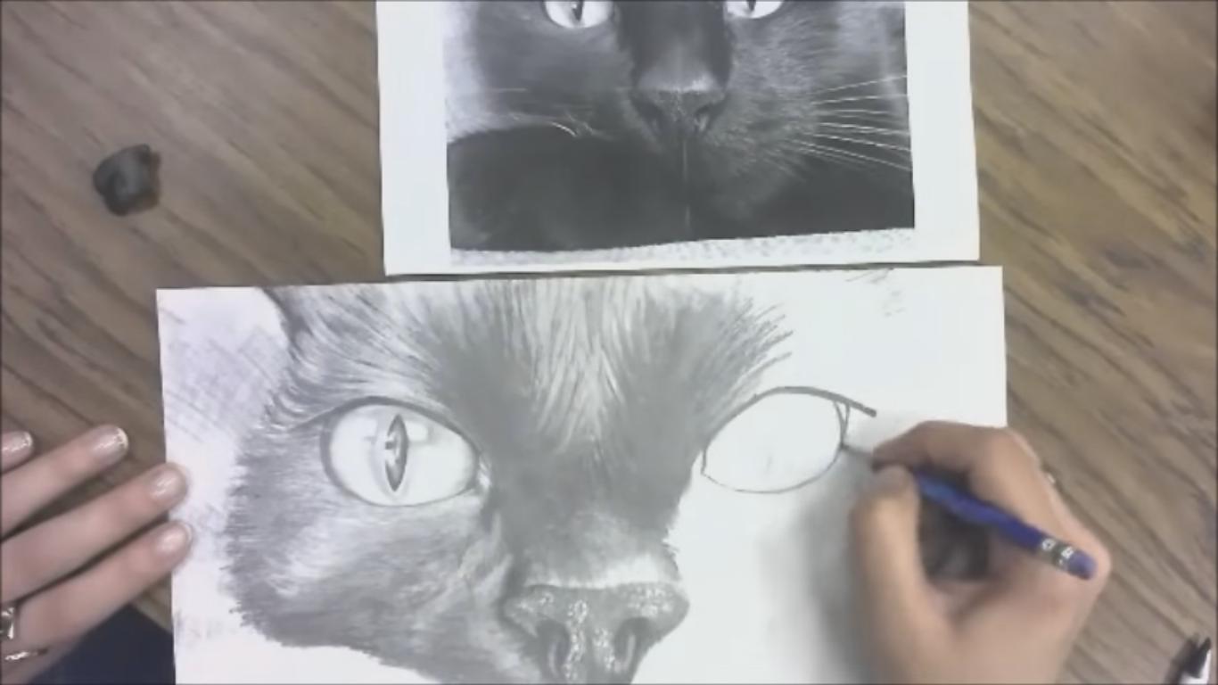 Beautiful Pencil Drawing of a Cat Portrait (Speed Drawing)