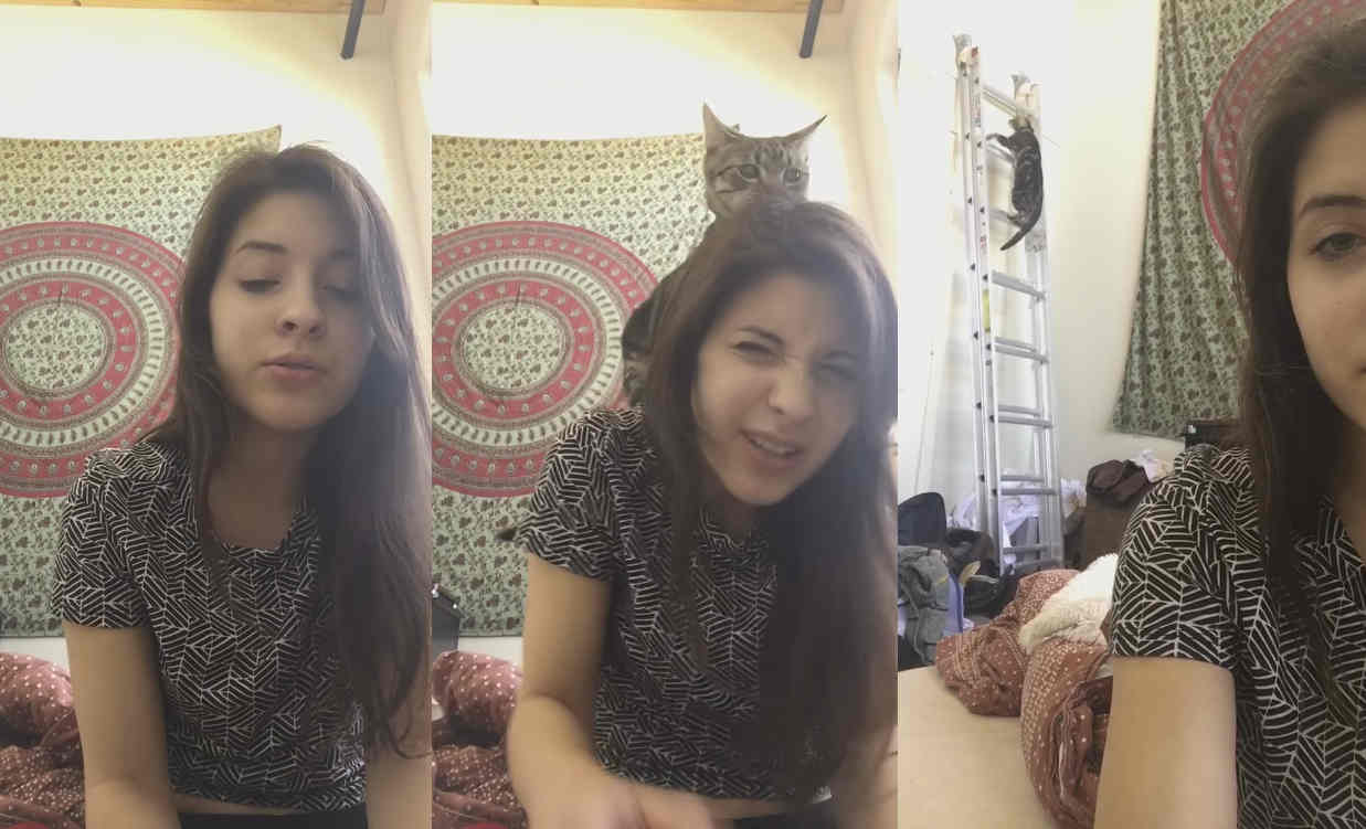 Cat Jumps On Girl's Head While she Records a Video