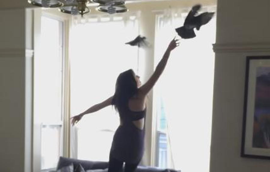 Girl Tries to Catch the Pigeons That Got in Her House