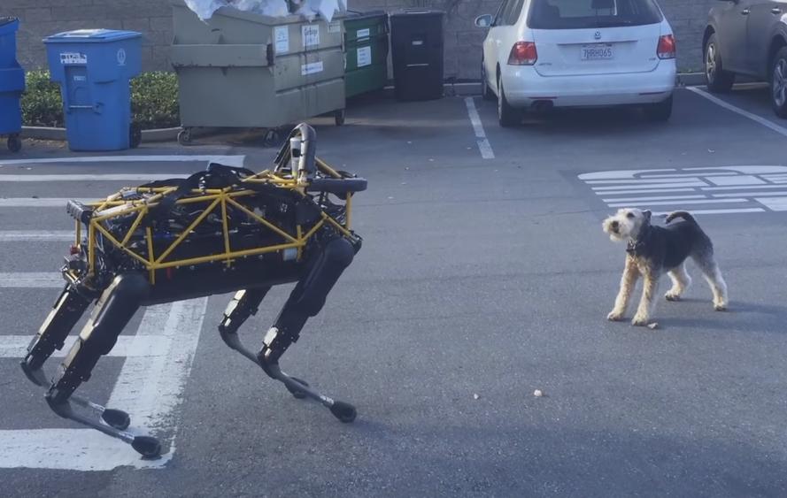 Dog Interacts With the Latest Quadruped Robot From Boston Dynamics