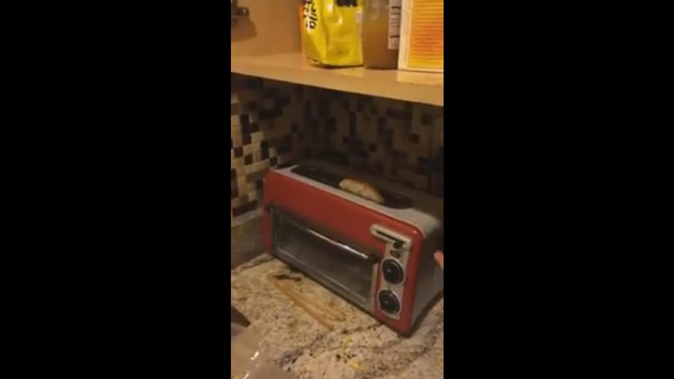 This Toaster Transforms the Whole Kitchen Into a Disco