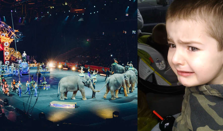 You'll Never Guess Why This Kid Cried When He Was Told He's going to the Circus