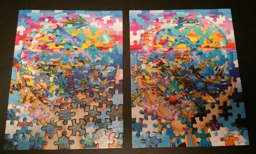 Why Would Someone Swap the Pieces of Those Two Puzzles?