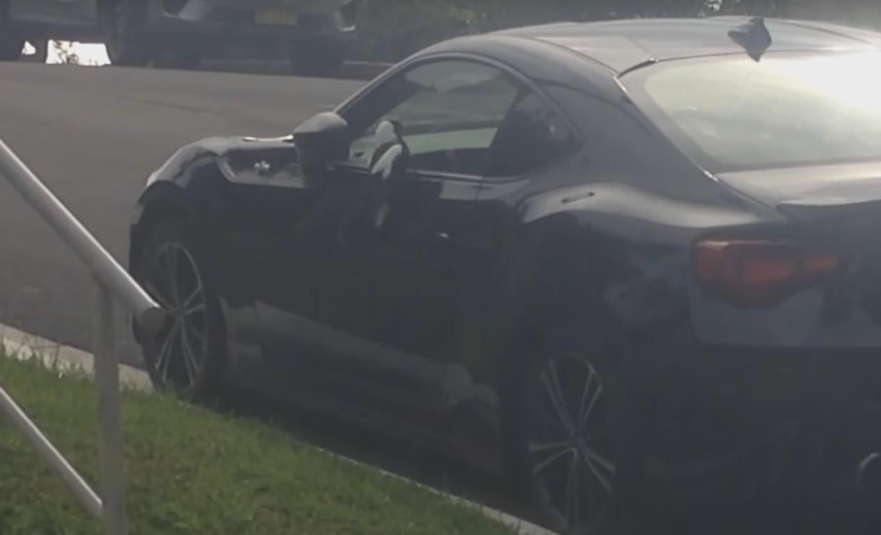 Bird Randomly and Repeatedly Hits a Car's Door and Window