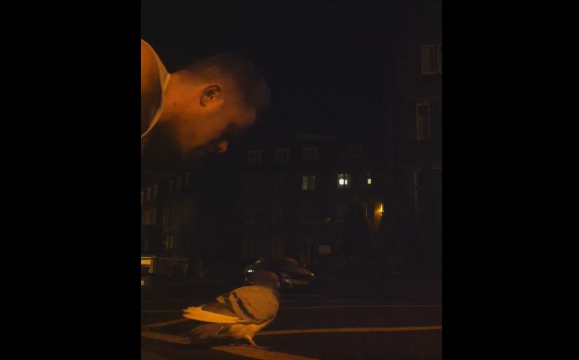 Drunk Man Fail at Trying to Save a Pigeon